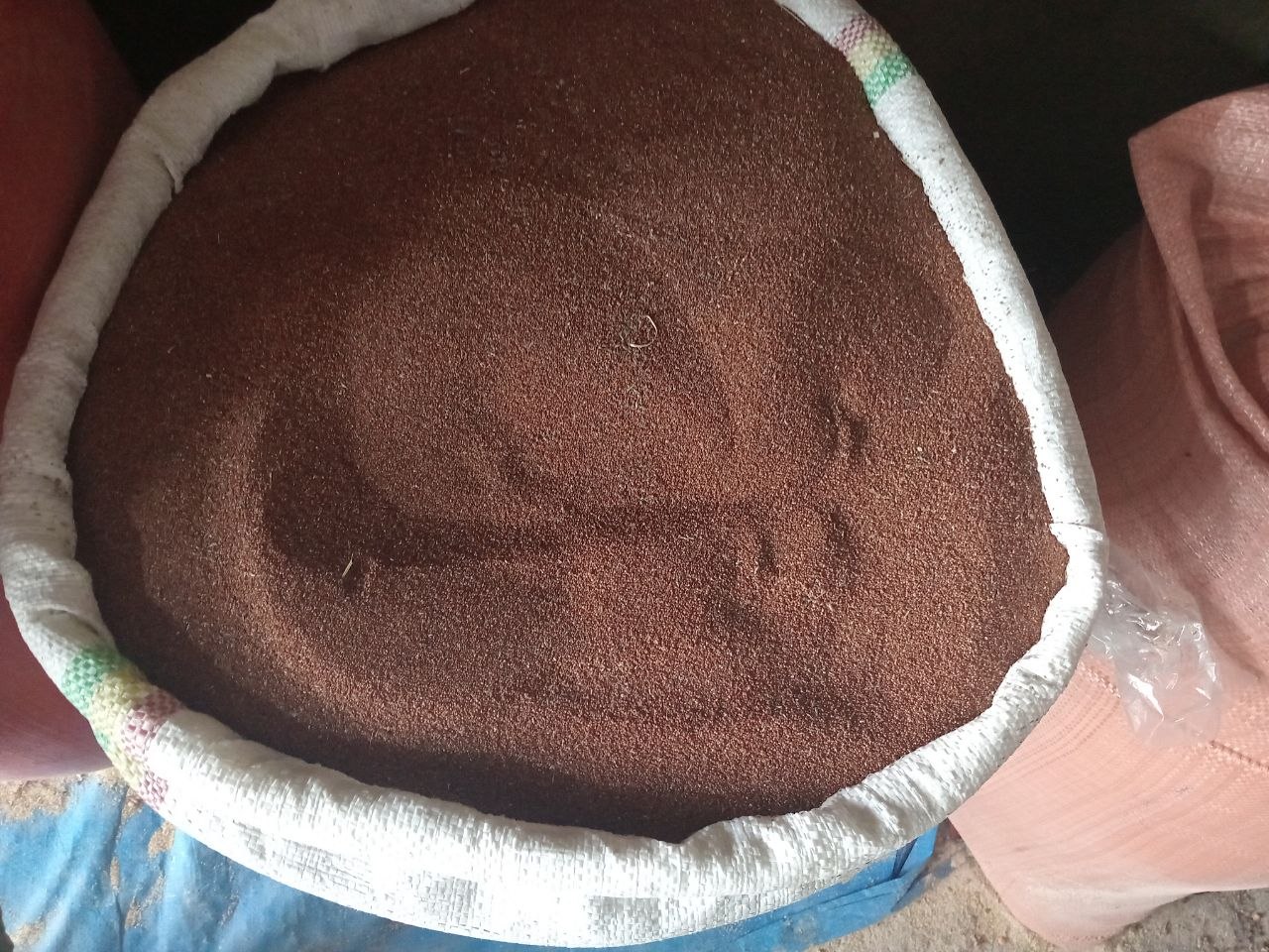 Black Teff